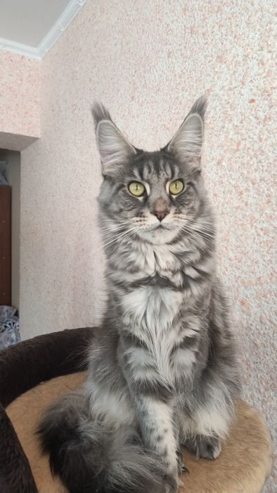 Девочка полидакт