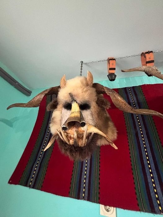 Сурвакарски, кукерски маски