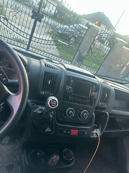 De vânzare pegeout boxer