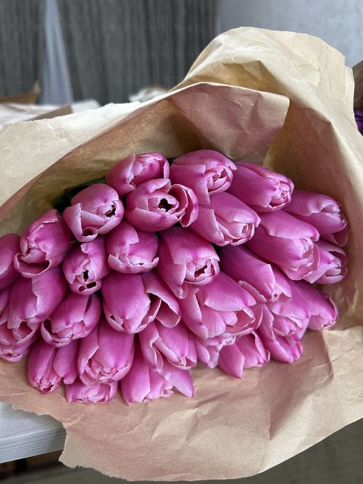 Голландские тюльпаны Оптом и В розницу!