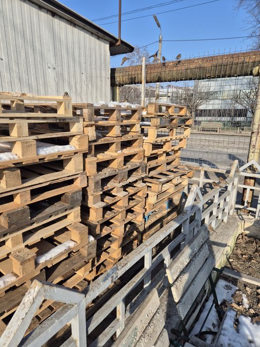 Vind paleti 5 lei Bucata