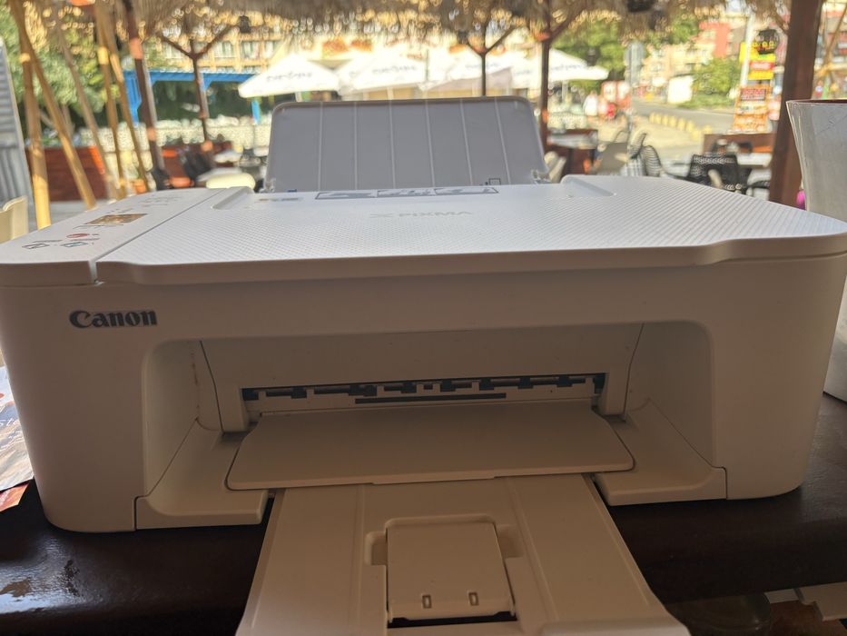 Принтер Brother и Canon