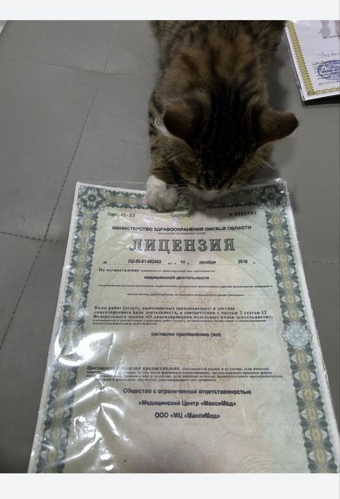 Массаж астана 2часа р