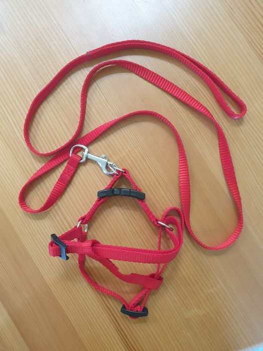 Нагръдник и повод за куче или коте