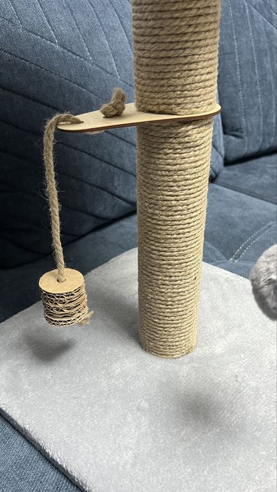 Когтеточка кокшетау срочно!