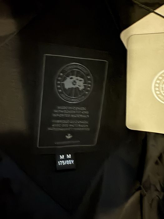 canada goose geaca
