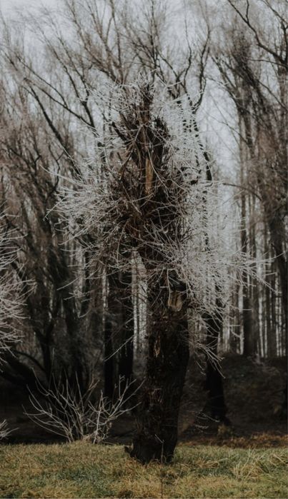 DE Vanzare Zona Ostroveni  lateral de Gradinita BLOCURILE  Sociale ua