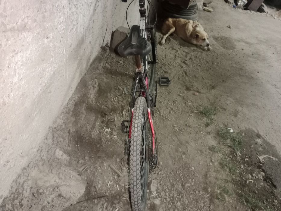 Обменяю на маленьких барашков