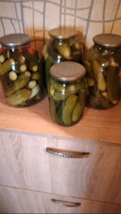 Продаются соленые огурцы