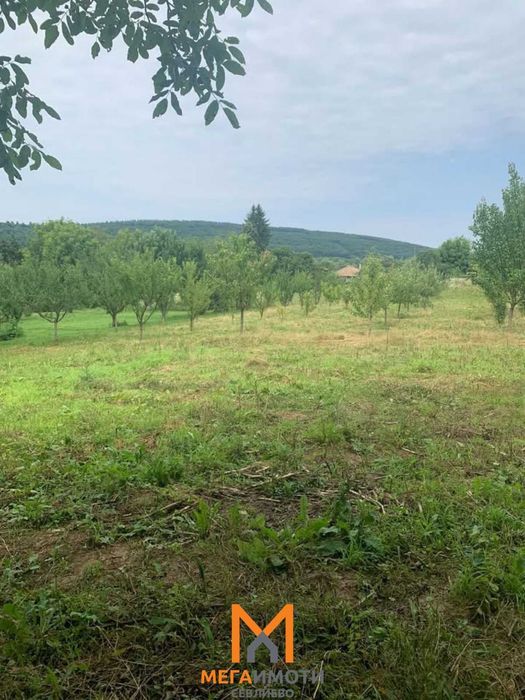 УПИ - Петко Славейково