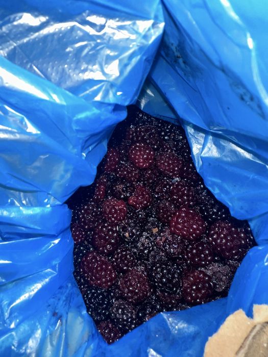 Замороженная малина ежевика ягоды