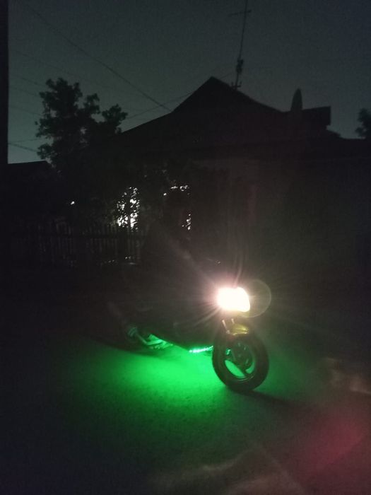 Рейсер лупус в почти идеальном состоянии