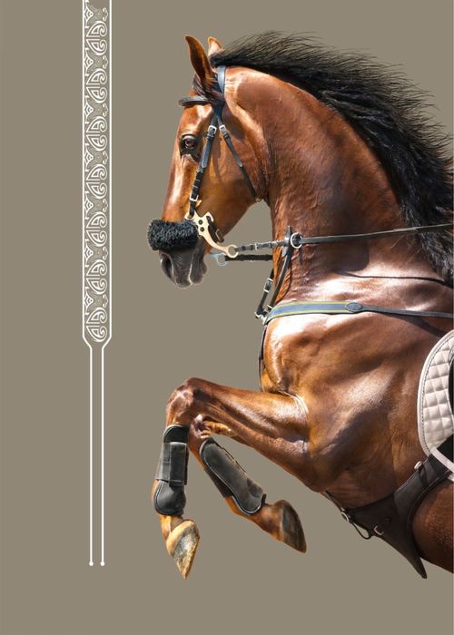 картина  для дома и офиса