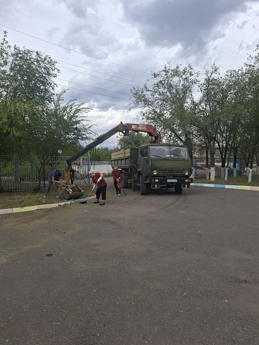 Вывоз мусора. Веток, деревья