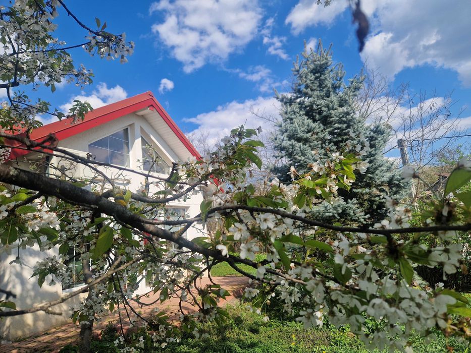 Inchiriez casa in Bucium Iasi