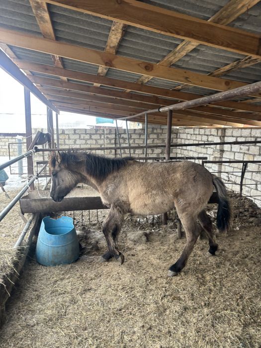 Срочно продам мз