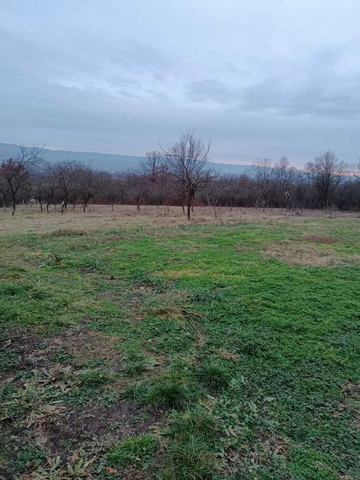 Casa de vanzare cu teren generos