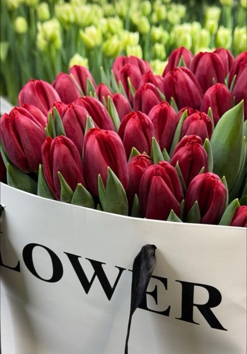 Тюльпаны оптом и в розницу