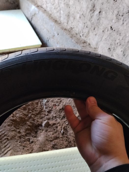 Монза родной шина