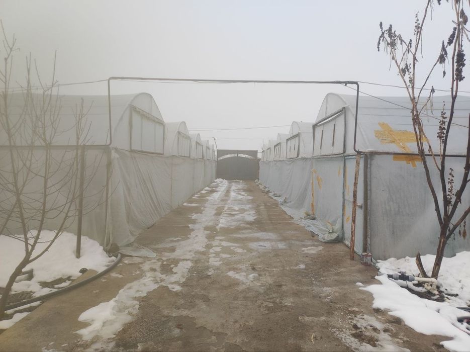 Sirdaryo shaharda 24 sothli uy sotiladi