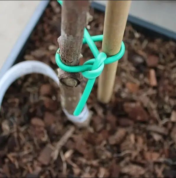 ПВХ Кембрик подвязка для саженцев, дарахт боглаш учун резинка ип