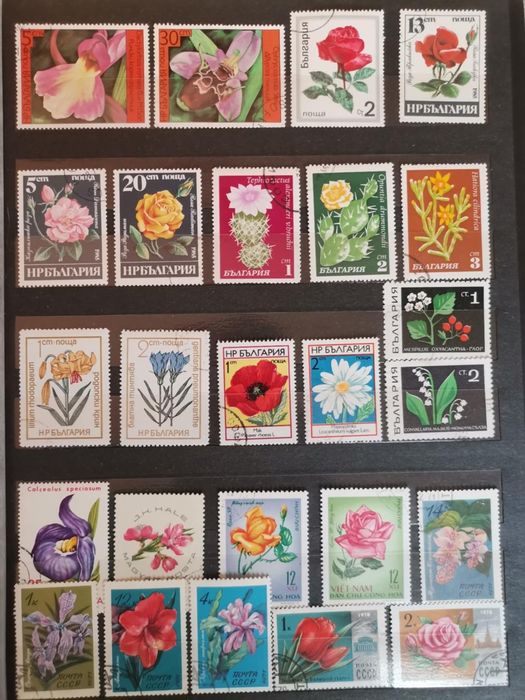 Класьори с пощенски марки