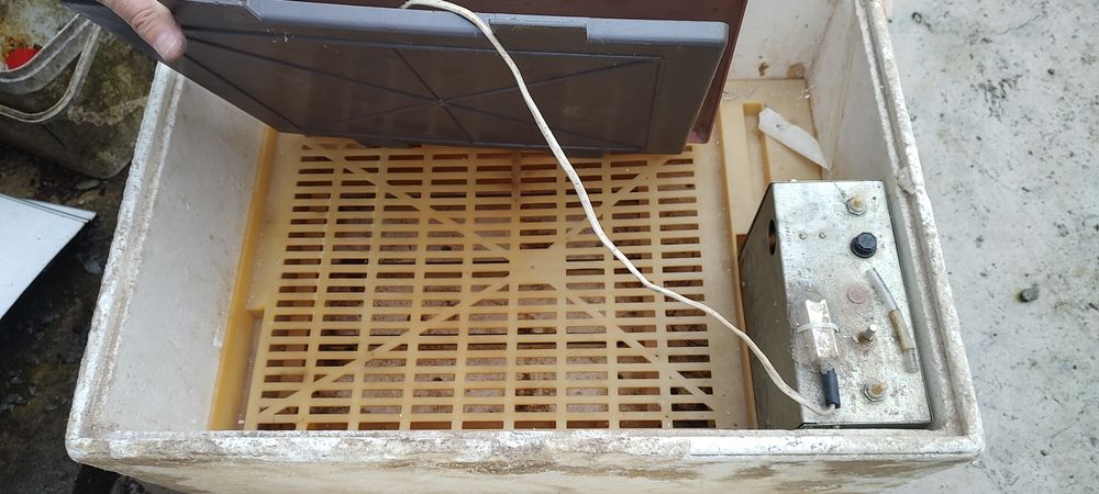 инкубатор   руски