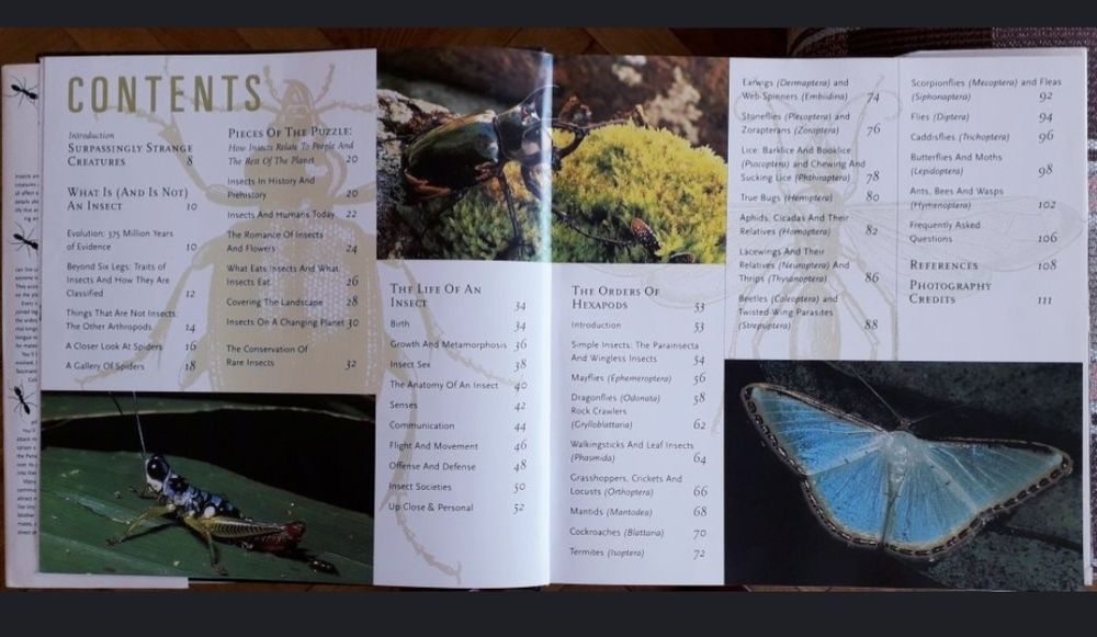 Album despre Insecte, pentru copii, Bugs Brasov • OLX.ro