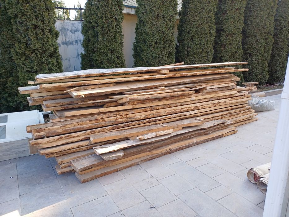 Леса сосна. В отличном качестве.