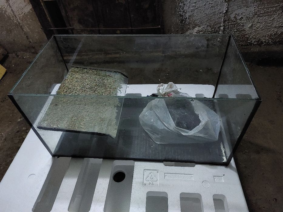 Acvariu pești/broscuțe