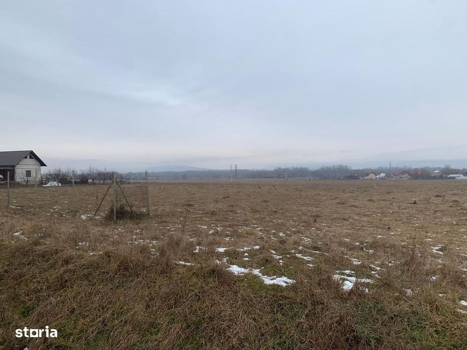Cedare concesiune teren 2.000 mp | Todirești (Părhăuți)