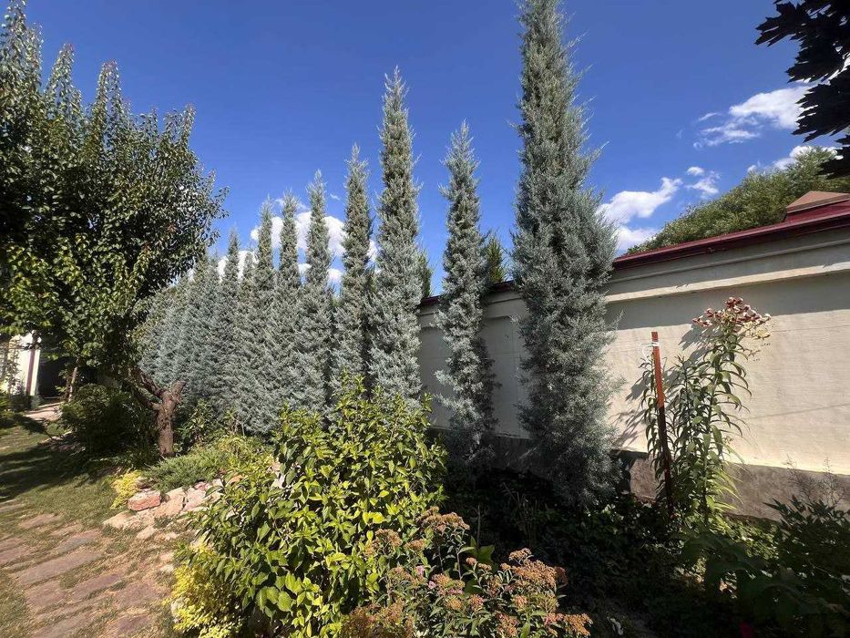 Продается дача срочно! Напишите в телеграм скину видео дачи.