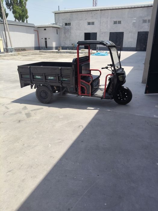 Electronic skuter