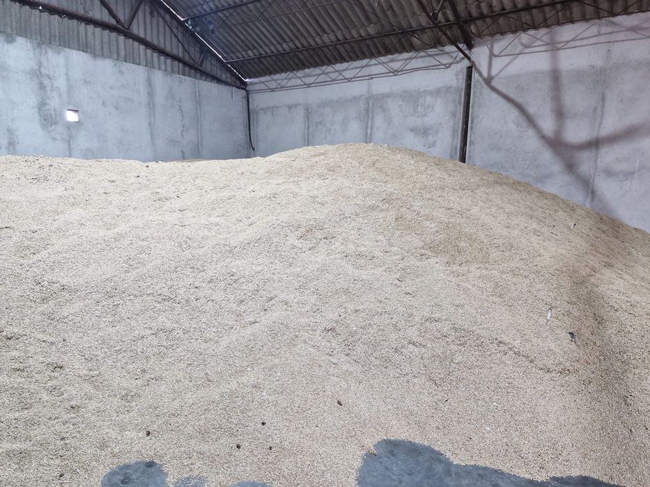 Vând orz producția 2025