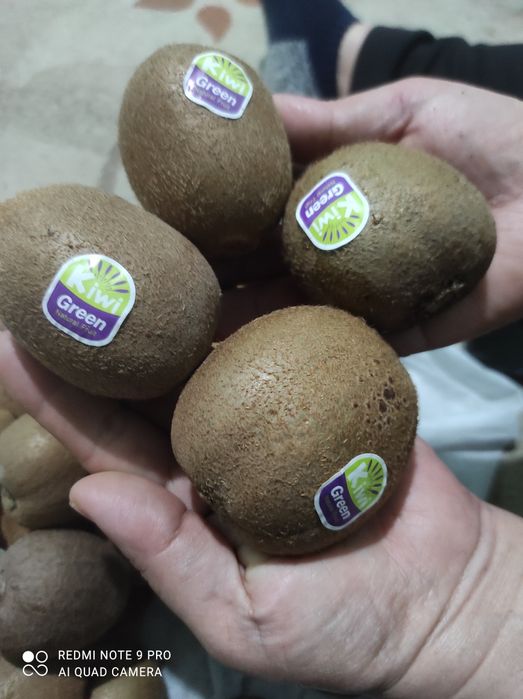 Фрукты Киви крупные 200тг шт.