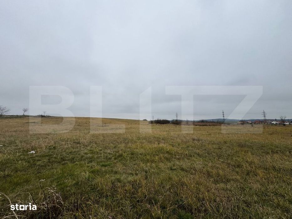 Teren intravilan in Pricaz 4416 mp