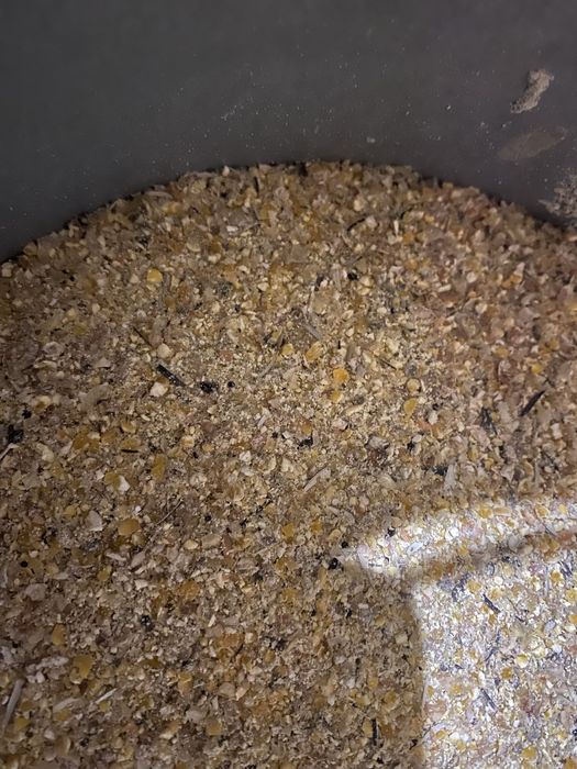 Продам дробленую кукурузу