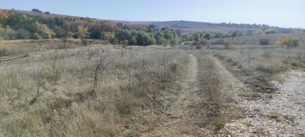 Продава се Парцел в с. Николаевка, Област Варна - 6200 кв.м за 11 €/кв.м - Снимка #1