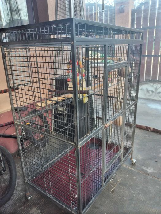 Colivie papagal de vanzare