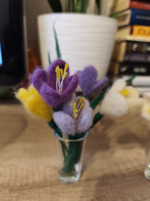 Минзухарчета от филц