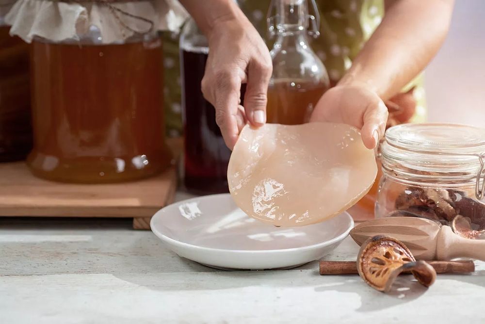 Чайный гриб (камбуча)