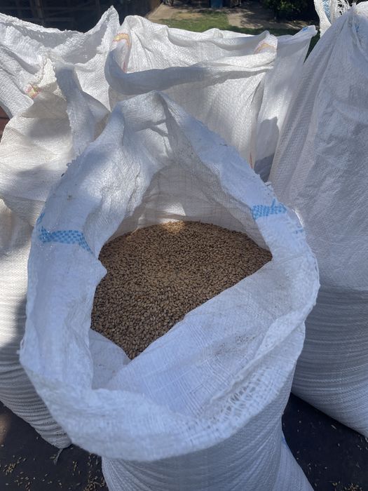 Grau de vanzare productie proprie
