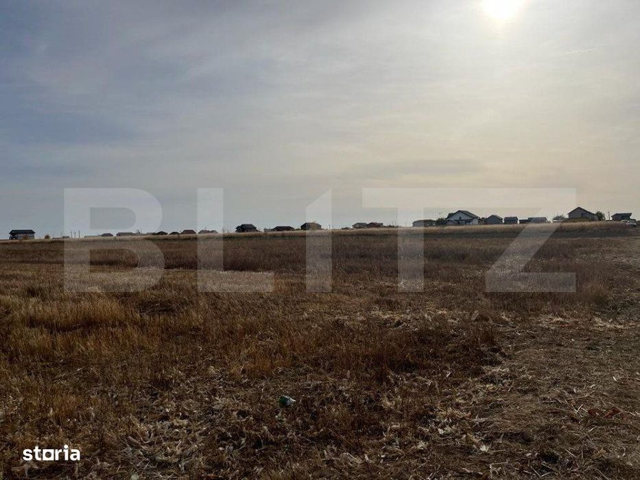 Teren 5000 mp intravilan in Ghercesti