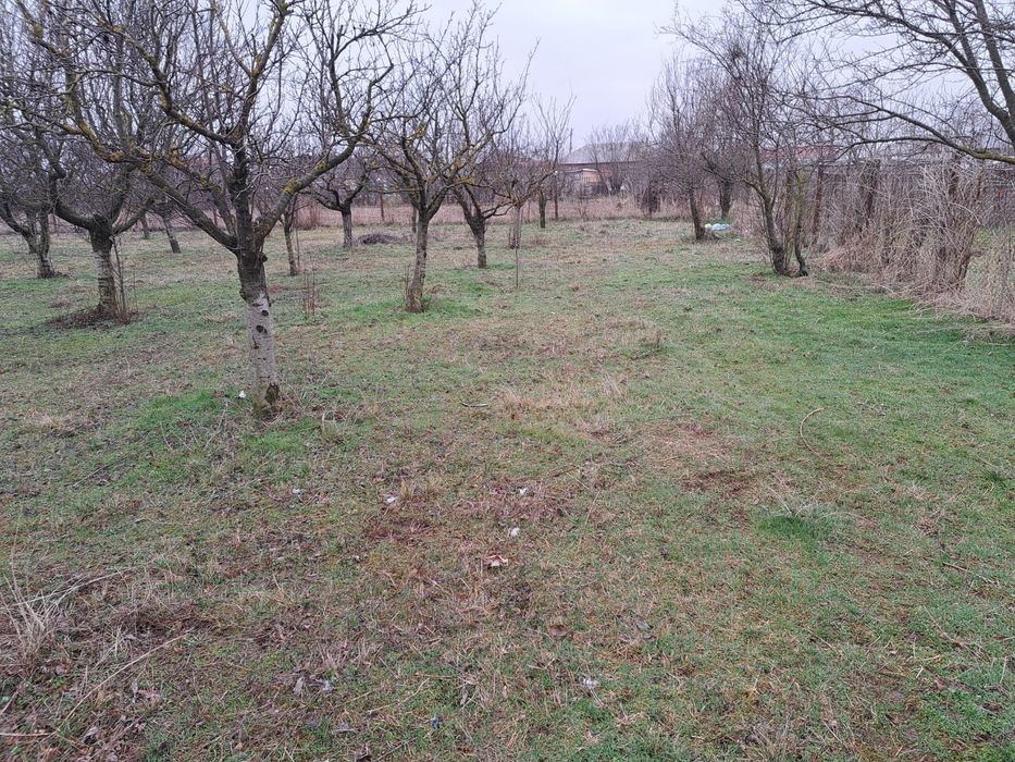 Teren intravilan 3000 mp/Cadastru