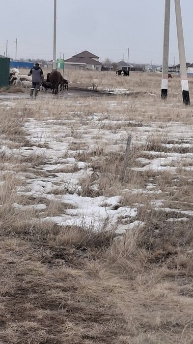 Учвсток 10 соток