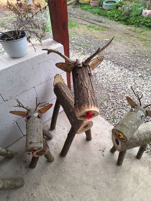 Casa si gradina superbe