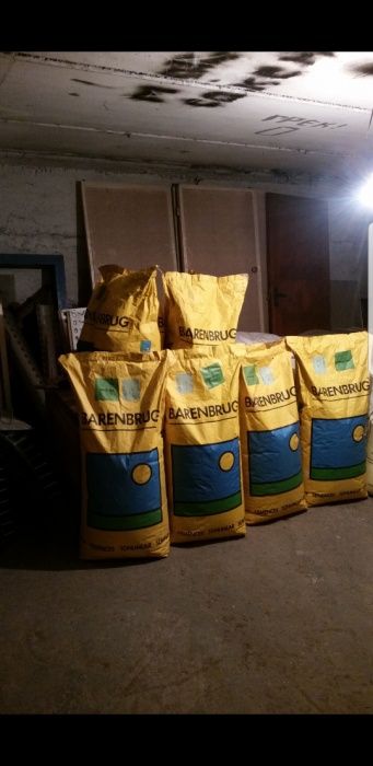 Газонная трава семена газон