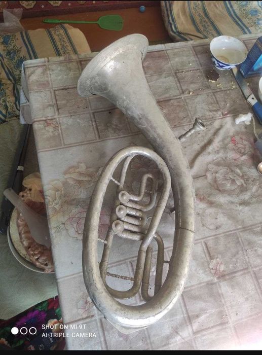 Эуфониум (баритон) - медный духовой инструмент из семейства туб.