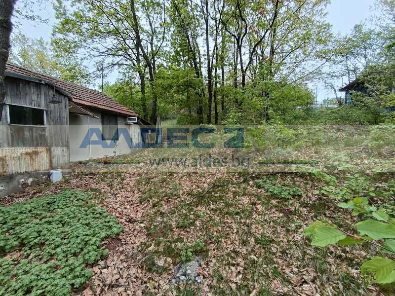 Продава се Парцел в с. Царичина, Област София-област - 1003 кв.м за 30 €/кв.м - Снимка #5