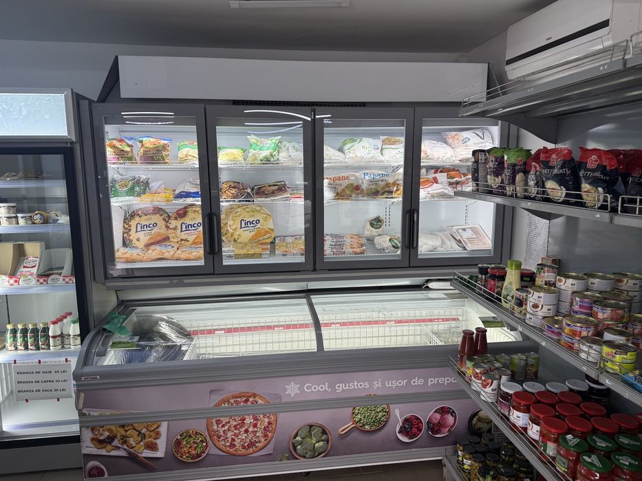 Vitrina frigorifica 8 usi si congelator orizontal horeca